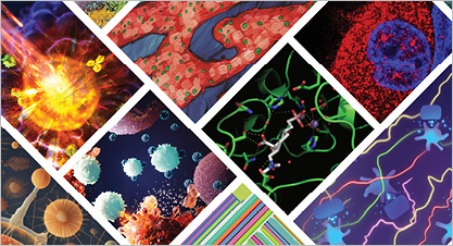 AACR Journals Graphic - AACR now on LinkedIn
