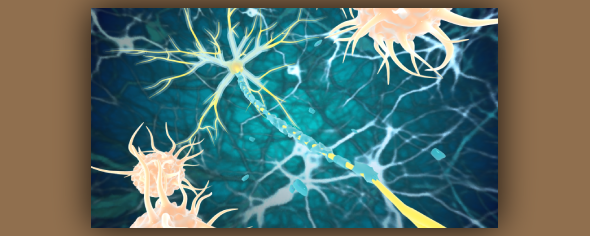 Illustration of a myelinated neuron surrounded by macrophages.