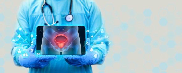 Health care provider holding laptop showing the location of the bladder