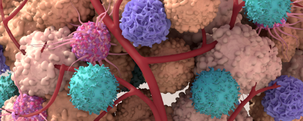 image of multiple cell types within the tumor microenvironment