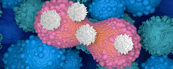 Illustration of T cells attacking breast cancer cells.