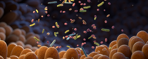 cartoon of the colon and the diverse bacteria within the colon microbiome