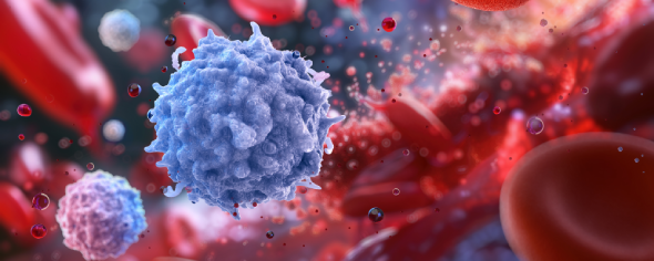 Blood cells