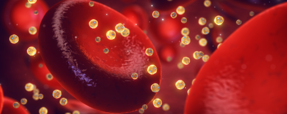 illustration of red blood cells in circulation surrounded by lipoproteins in yellow