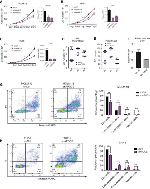 Figure 2. APOC2 knockdown inhibits AML cell survival and induces apoptosis in vitro. Cell proliferation assays in MOLM-13 cells (A), THP-1 cells (B), and HL60 cells (C) infected with two different tet-on APOC2-shRNAs or control shRNA. The knockdown efficiency of APOC2 was measured by qPCR (compared by two-way ANOVA). D, Cell viability assay results for the knockdown of APOC2 in primary blasts from patients with AML. E, Colony formation assay results for the knockdown of APOC2 in AML primary blasts. F, Measurement of APOC2 knockdown in patient blasts by qPCR. G and H, Annexin V and PI staining levels were measured by flow cytometry to assess cell apoptosis in MOLM-13 and THP-1 cells infected with APOC2 shRNA or control shRNA. The quantification of early and late apoptotic cell population changes is presented in the panel on the right. The differences between the groups were analyzed using unpaired t tests (****, P < 0.0001; ***, P < 0.001; **, P < 0.01; *, P < 0.05; ns, not significant).