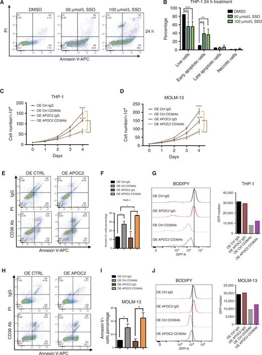 Figure 4. Blocking CD36 induces apoptosis in AML cells and abrogates APOC2 proleukemic effects. A, Results of the Annexin V and PI staining apoptosis assays in THP-1 cells 24 hours after treatment with either 50 μmol/L or 100 μmol/L of SSO. B, Quantification of apoptotic populations in THP-1 cells 24 hours after SSO treatment. C, The effects of CD36-blocking antibody on cell proliferation in THP-1 OE Ctrl and OE APOC2 cells. D, The effects of CD36-blocking antibody on cell proliferation in MOLM-13 OE Ctrl and OE APOC2 cells. E, The effects of CD36 blocking antibody on apoptosis 24 hours posttreatment in THP-1 OE Ctrl and OE APOC2 cells. F, The quantification of Annexin V+ cell populations in THP-1 OE Ctrl and OE APOC2 cells treated with IgG or CD36Ab. G, A comparison of BODIPY staining between THP-1 OE Ctrl and OE APOC2 cells treated with IgG or CD36Ab. H, The effects of CD36 blocking antibody on apoptosis 24 hours posttreatment in MOLM-13 OE Ctrl and OE APOC2 cells. I, The quantification of Annexin V+ cell populations in MOLM-13 OE Ctrl and OE APOC2 cells treated with IgG or CD36Ab. J, A comparison of BODIPY staining between MOLM-13 OE Ctrl and OE APOC2 cells treated with IgG or CD36Ab. The differences between the groups were analyzed using unpaired t tests (****, P < 0.0001; ***, P < 0.001; **, P < 0.01; *, P < 0.05).