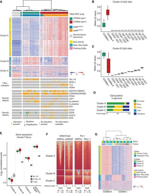 Figure 1. DNA methylation profiling in normal and malignant T cells. A, Unsupervised clustering of mean-centered methylation score (β values) ofthe 5,000 most variably methylated CpGs in 109 T-ALL cases and 10 subsets of developing thymocytes (two biological replicates each), with indication of the three main clusters of CpG probes and their location with respect to CpG context. T-ALL subtypes and genetic defects of all T-ALL cases areindicated below the heatmap. Mean β values of cluster A (B) and cluster B (C) CpG sites in COSMe type I and II T-ALLs and normal thymic precursors.DP, CD4+ CD8+ double positive; ISP, immature single positive; SP, single positive. D, Percentage of probes located inside different genomic categories for each of the clusters defined above. UTR, untranslated region. E, Mean expression (log2-transformed normalized counts per million, EdgeR) per sampleof genes linked to CpG sites in clusters A, B, and C (A) in a T-ALL cohort (GSE110637) plotted separately for TAL1-rearranged T-ALLs (enriched in COSMe-I) and T-ALLs without such rearrangements (enriched in COSMe-II). Normal thymocytes (GSE151079) were included as healthy controls. Genes in the NOTCH1 pathway were used as positive reference value for T-ALL. F, ChIP-seq enrichment in clusters A, B, and C for H3K27me3 in CD34+ HSPCs (GSM2277181) and in the JURKAT T-ALL cell line (GSM2279072) and for PU.1 in CD34+ HSPCs (GSM1816090) and the TALL-1 cell line transfected with FLAG-PU.1 (GSE128837). Data publicly available from the Gene Expression Omnibus. G, COSMe signature in paired primary-relapsed T-ALL samples (21). Row-scaled β values of CpG methylation are shown.