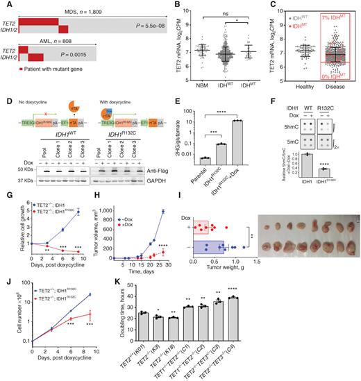 A Therapeutic Strategy for Preferential Targeting of TET2-Mutant and ...