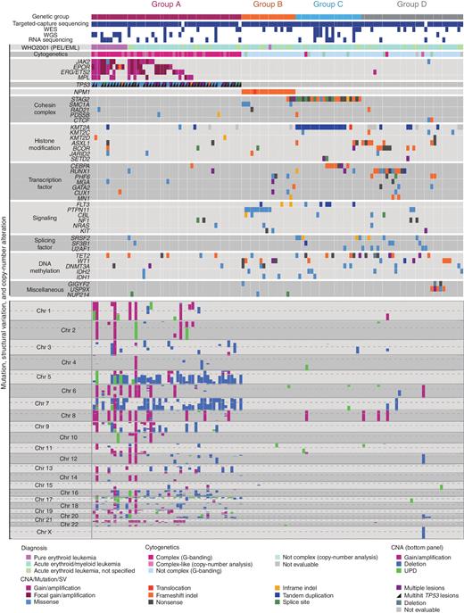 Figure 2. Global genetic profile in acute erythroleukemia. Genomic landscape of 124 AEL cases. Each column indicates a patient. The heatmap demonstrates mutations, SVs, and CNAs. Genetic groups were clustered according to the status of genetic events. Cases with AEL were divided into four groups based on the correlation of frequent mutations and SVs [A: TP53-mutated AEL, B: NPM1-mutated AEL, C: STAG2-mutated but NPM1-intact AEL, D: other (triple-negative, TN) AEL]. UPD: uniparental disomy.