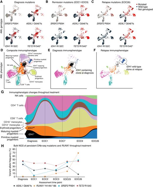 Figure 4. scDNA + surface protein (DAb-seq) analysis of a patient with ND-AML (accession #20) treated with IVO + VEN + AZA with subsequent deescalation to IVO maintenance therapy revealed dynamic clonal changes secondary to selective pressure of targeted therapy. A–C, Single-cell analysis at diagnosis, in remission [sampled at end of cycle (EOC) 1, 3, 7, and 9] and after relapse (sampled at EOC 26) identified elimination of IDH1-mutated clones following IVO + VEN + AZA treatment, with persistent mutations in background preleukemic genes. D–F, Analysis of the surface proteome revealed a phenotypic shift occurring between diagnosis and relapse (EOC26), with a more primitive immunophenotype identified at relapse following IVO maintenance. G, Paired genotype–phenotype analysis demonstrated the expanding primitive myeloid progenitor clone contributing to relapse did not contain mutated IDH1. H, Bulk next-generation myeloid panel sequencing in this patient identified outgrowth of a RUNX1 mutation at relapse, poorly covered in the scDNA-seq analysis. NK, natural killer.