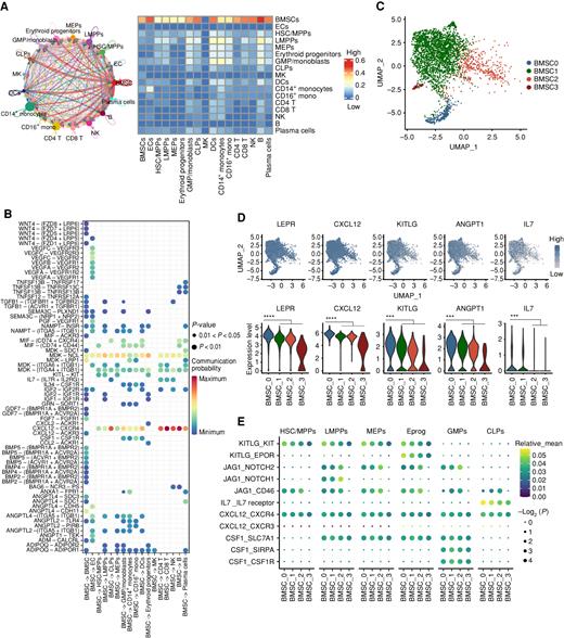 Figure 2. Transcriptional identification of BMSC heterogeneity in the human NBM. A, Predicted cellular interactions based on transcriptional networking by CellChat, identifying BMSCs as the dominant source of signaling to all other cells. In the circle plot, colors represent signal senders and width represents signal strength. In the heat map, signal strength is represented by the color scale. B, Predicted ligand–receptor interactions between BMSCs and other cell types. Color scale and dot size represent the probability and P value of interactions, respectively. C, Heterogeneity of the BMSC population reflected in the uniform manifold approximation and projection (UMAP) plot representing 3,236 cells. D, Differential expression of LEPR and genes encoding key HSPC regulatory factors in BMSC subset 0 represented by UMAP and Violin plots. ***, FDR-adjusted P value (Padj) < 0.001. ****, Padj < 0.0001. Differential gene-expression analysis is performed using the pseudoDE R package at the sample level (pair-wise comparison in individual samples). E, Relative strength of predicted HSPC-supportive signaling originating from distinct BMSC subsets, as assessed by CellphoneDB. Color scale and dot size represent the relative mean strength and P value of interactions, respectively.