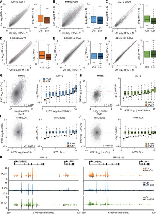 Figure 3. Lenalidomide-induced loss of enhancer coactivators in IMiD-sensitive cells. A–C, Scatter plots of IKZF1 (A), P300 (B), and BRD4 (C) ChIP-seq signal in MM1S control (ctrl) and lenalidomide (Len)-treated cells (10 μmol/L, 24 hours). D–F, Scatter plots of IKZF1 (D), P300 (E), and BRD4 (F) in RPMI8226 ctrl and Len-treated cells. The signal at each region is shown to the right of the scatter plots for control and lenalidomide treatment. G, Scatter plot of lenalidomide-induced fold changes at regions cobound with IKZF1 and P300 (left), as well as a binned analysis of fold changes ranked by lenalidomide-induce IKZF1 fold change (right) in MM1S. Correlation is shown (Spearman  ρ). H, Scatter plot and binned analysis of IKZF1 and BRD4 cobound regions for MM1S as in part G. I, Scatter plot and binned analysis of IKZF1 and P300 cobound regions for RPMI8226 as in part G. J, Scatter plot and binned analysis of IKZF1 and BRD4 cobound regions for RPMI8226 as in G. K, Genome plot of DUSP22 and IRF4 showing IKZF1 (orange), P300 (blue), and BRD4 (green) ChIP-seq in MM1S (left) and RPMI8226 (right). The change in lenalidomide-treated samples is shown in darker tones, and the scale is reads per million (RPM).