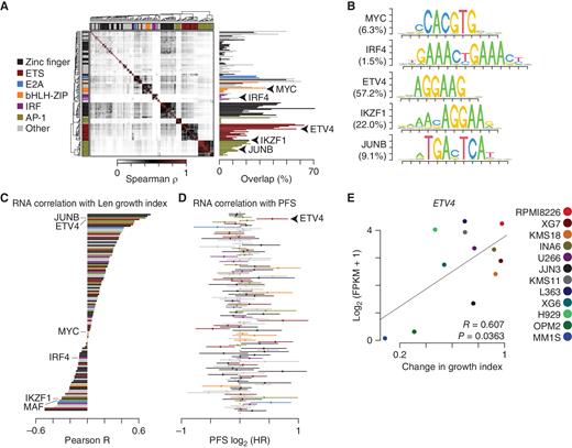 Figure 4. IKZF1 shares similar motifs with ETS factors that correlate with IMiD resistance. A, Correlation matrix of motifs at IKZF1-bound regions in RPMI8226 (left) with select transcription factor families annotated in color (key far left). The frequency of overlap with IKZF1-bound regions is shown (right). Only motifs for expressed (≥1 FPKM) transcription factors in RPMI8226 significantly (FDR ≤10−10, odds ratio ≥1.5) enriched at IKZF1-bound regions are shown. B, Logo plots of select motifs enriched at IKZF1-bound regions in RPMI8226. The frequency of overlap with IKZF1-bound regions is shown in parenthesis. C, Pearson correlation (R) of transcription factor expression as measured by RNA-seq with lenalidomide (Len; 10 μmol/L)-induced change in growth index on Day 6 as measured by MTT assay in 12 MM cell lines from Fig. 1A. D, Progression-free survival (PFS) and hazard ratio (HR) for the expression of each transcription factor shown in C and observed in IMiD-treated patients from CoMMpass. E, Correlation of ETV4 expression as determined by RNA-seq with Len-induced change in growth index in 12 MM cell lines as determined by MTT assay on Day 6 (from Fig. 1A).