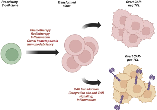 Schema of the potential mechanisms leading to transformation after CART immunotherapy. neg, negative; pos, positive. (Created with BioRender.com.)