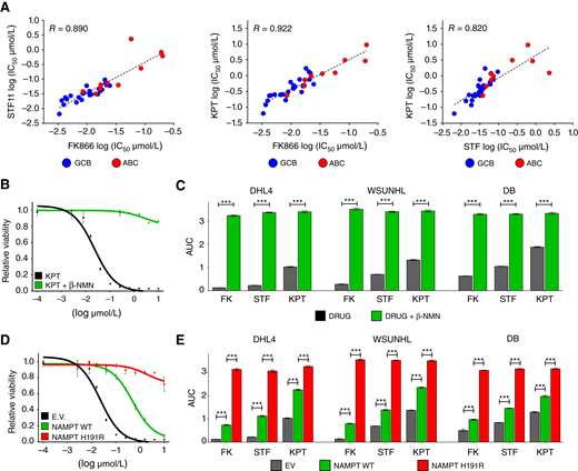 On-target activity of NAMPTis. A, Log IC50 pairwise correlations between the indicated NAMPTis in 34 DLBCL cell lines (blue, GCB-DLBCL, n = 25; red, ABC-DLBCL, n = 9). Dotted lines represent linear regression models. R, Pearson correlation coefficient. B, Dose response of SUDHL4 to KPT-9724, alone (black) or with addition of 100 μmol/L NAMPT product β-NMN (green). C, AUC measurements of dose responses to each of the three NAMPTis, alone (black) or with addition of 100 μmol/L β -NMN (green), in three GCB-S DLBCL cell lines. D, KPT-9274 dose response in SUDHL4 cells transduced with EV (black), NAMPT WT (green) or NAMPT H191R cDNAs (red). E, AUC measurements of dose responses for three GCB-S DLBCL lines transduced with EV (black), NAMPT WT (green) or NAMPT H191R (red) cDNA and treated with each of the three NAMPTis. In the figure, error bars represent SDs; n = 6 (B and D) and 4 (C and E). P values were calculated using Student t test. ***, P < 0.001.