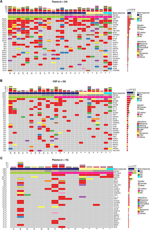 Summary of clinical features and genomic alterations in samples of tumor tissue (A), CSF (B), and plasma (C) at baseline. “PD status” refers to whether disease progression occurred during induction therapy or consolidation therapy. PD, progressive disease; PR, partial response; SD, stable disease; SV, structural variant.