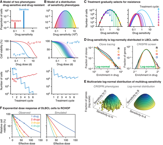 Modeling intratumor heterogeneity in drug sensitivity as a distribution. A, Traditional model depicting tumors as two subpopulations of cells: drug sensitive and drug resistant, with dose–response functions FS and FR, respectively. B, New model depicting tumor heterogeneity as a population of cells with a distribution of drug sensitivity phenotypes. Each cell’s dose–response function depends on its level of drug sensitivity. C, In the new model, each treatment cycle preferentially kills more sensitive cells (arrows represent cytotoxicity), shifting the distribution toward resistance and making subsequent cycles less effective. D, Distributions of drug sensitivity phenotypes in DLBCL cells treated with RCHO are approximately log-normal, as previously measured by high-complexity clone tracing (106 clones; only enrichment is quantifiable) and by genome-wide CRISPR inhibition screens (∼18,900 gene targets; both enrichment and depletion are quantifiable). E, Lymphoma cells’ sensitivities to different drugs (e.g., doxorubicin and vincristine), as previously measured by CRISPR inhibition screens in either single drug, are approximately described by a multivariate log-normal distribution (see other pairs in Supplementary Fig. S1C and S1D). F, DLBCL cells’ dose responses to drugs in RCHO, as previously measured with equipotent combinations of one through four drugs, are approximately reproduced by simulations using exponential dose responses. CRISPRi, CRISPR inhibition; LBCL, large B-cell lymphoma.