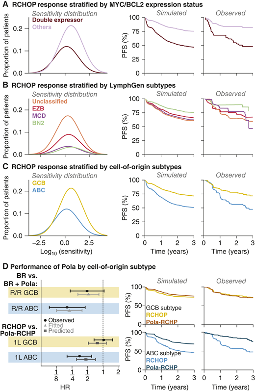 Modeling clinical outcomes in DLBCL subgroups. Subgroup-specific models of RCHOP therapy are constructed by fitting patient sensitivity distributions to observed PFS distributions in subgroups including (A) DLBCL stratified by MYC/BCL2 expression status (double-expressor vs. all others), (B) DLBCL stratified by LymphGen subtypes, and (C) DLBCL cell-of-origin (GCB and ABC). D, The efficacy of Pola in each cell-of-origin subtype was fitted to reproduce the observed PFS HRs by cell-of-origin in a phase II trial comparing bendamustine and rituximab (BR) with or without Pola in R/R DLBCL. These subtype-specific efficacies were used to predict PFS distributions and HRs for each cell-of-origin subtype in the first-line (1L) phase III trial comparing Pola-RCHP with RCHOP.