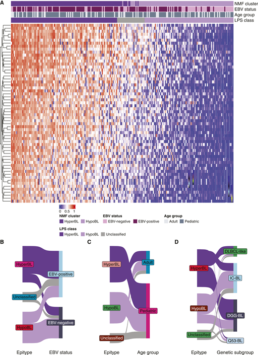 Identification of distinct epitypes in Burkitt lymphoma. A, Heatmap depicting the optimal 60 probes from the EPIC array which achieved the greatest accuracy for classifying samples into one of the two epitypes (LPS class). Samples are ordered on the basis of the probability score associated with belonging to the HyperBL epitype. Alluvial plots showing the distribution of epitype membership by EBV status (B), age group (C), and genetic subgroup (D). All 218 samples with the available EPIC array profiling are included in the analysis.