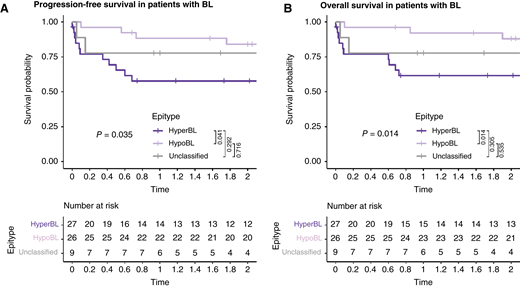 Survival outcomes of adult patients with Burkitt lymphoma (BL) stratified by epitype. Kaplan–Meier survival analyses were conducted within the adult cases for whom the follow-up data were most complete. Patients with HyperBL were compared with those with HypoBL to analyze progression-free survival (A) and overall survival (B), including the unclassified cases. All times are shown in years. A log-rank P value is shown, and pairwise comparisons were conducted separately across the indicated groups. The risk tables show the number of patients at the specified timepoint.