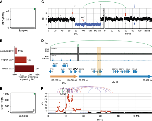 Aberrant EPO expression might cooperate with EPOR amplification in AEL. A,EPO expression in all samples in TPM, with sample 15KM18875 with EPO overexpression highlighted in green. B, Proportion of samples with nonzero EPO expression in three AEL cohorts profiled with RNA-seq (47–49). C, Copy numbers (CN) and SVs on chromosome 7 (containing EPO) and chromosome 11 in sample 15KM18875. Copy number losses are indicated in blue, and gains in red. SVs are shown at the top, with arcs connecting breakpoints or lines indicating the chromosome of the other side of the breakpoint (for C, D, and F the colors of SVs indicate the orientation: blue for deletion, red for duplication, purple for inversion, and green for interchromosomal SV). D, A 300 kb circular piece of DNA containing EPO and a putative enhancer (highlighted in orange), with P300 and H3K27ac peaks in the erythroid cell line K562. E,EPOR expression in TPM in all samples, with sample 15KM18875 highlighted in green. F, Copy numbers and SVs on chromosome 19 for sample 15KM18875. chr, chromosome.