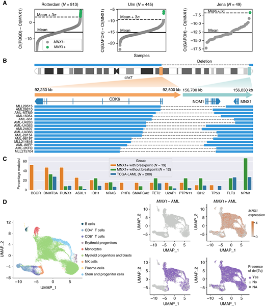 MNX1 is expressed in 1.4% of all AML cases, often with del(7)(q22q36). A, qRT-PCR screen for MNX1 expression in three AML cohorts (Rotterdam, Ulm, and Jena). B, Fifteen MNX1-expressing samples with del(7)(q22q36) profiled with WGS, with a zoom-in around the breakpoints (hg19 reference). The blue rectangles indicate the genomic regions that are retained, and dashed lines represent breaks. C, Percentage of samples with mutations in frequently mutated genes for MNX1+ samples with breakpoints near MNX1, MNX1+ samples without breakpoints, and TCGA-LAML samples. D, scRNA-seq analysis for MNX1+ and control del(7q) AML samples. Left, UMAP showing cell type labels of 53,479 cells integrated across eight patients. Right, UMAP highlighting MNX1 expression (top) and the presence of a del(7q) (bottom) as predicted for patients with del(7q) (n = 4) and patients with del(7q) and MNX1 activation (n = 4). chr, chromosome; UMAP, Uniform Manifold Approximation and Projection.