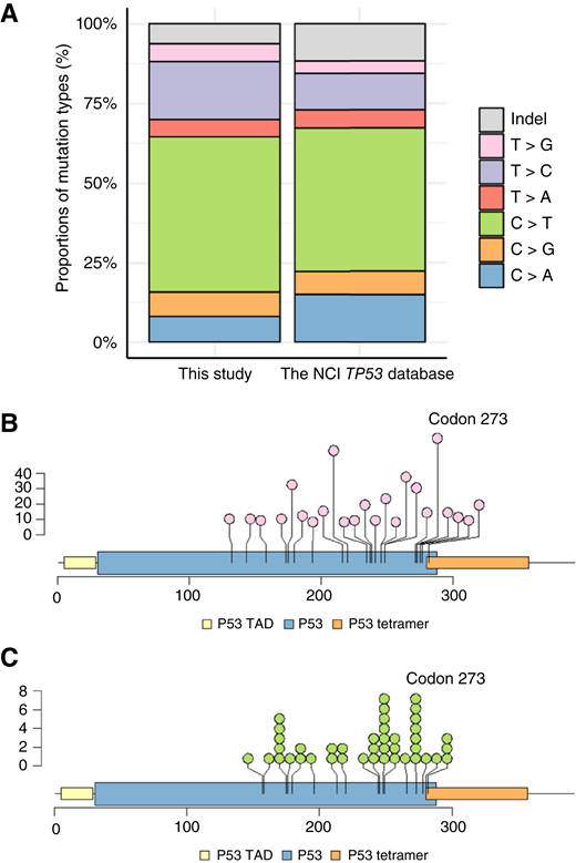 Mutation patterns and hotspot locations of TP53-CHIP. A, Mutation patterns of CHIP in this study (1,198 mutations) and somatic mutations in the NCI TP53 database (RRID: SCR_026878; 28,310 mutations). B, Mutations that 10 or more individuals with TP53-CHIP carry in this study are shown. The vertical axis represents the number of carriers. Detailed information of mutations is provided in Supplementary Table S2. C, Codon of the hotspot mutation, which accounted for more than 1% of all mutations, in the NCI TP53 database (RRID: SCR_026878). The vertical axis represents the proportion of mutations at each codon. Indel, insertion or deletion.