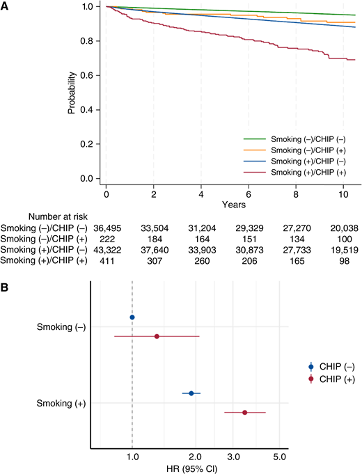 Impact of smoking and TP53-CHIP on respiratory disease mortality. A, The cause-specific survival from respiratory disease (nonneoplastic respiratory disease and lung cancer) was estimated using the Kaplan–Meier method. Smoking status was defined as ever smoker. B, HRs and their 95% CIs were estimated using Cox proportional hazards models of respiratory disease mortality adjusted for age, sex, drinking habits, alcohol consumption, Brinkman index, body mass index, and comorbidities (hyperlipidemia, hypertension, diabetes, and cancer).