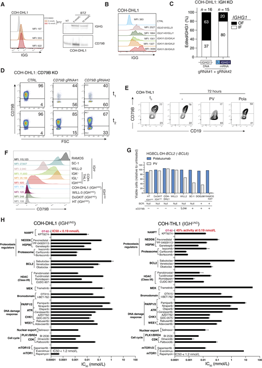 IGH dependence and drug response of BCRnull HGBCL-DH-BCL2 models. A, IGG (intracellular) and CD79B protein levels in COH-DHL1 cells upon exposure to the indicated doses of bortezomib (BTZ), assessed by flow cytometric (left) or immunoblotting (right) analyses. Protein extracts were normalized for cell number. B, Surface IGG protein abundance in COH-DHL1 cells before (CTRL) and after complementation with the indicated IGK or IGL light chain expression vectors. Surface IGG levels (MFI) were measured on surface IGK+/L+ cells. C, Frequency of IGHG1 in-frame (IF) and out-of-frame (OF) CRISPR/Cas9-edited alleles amplified from genomic DNA or the productive VH-CH transcript (mRNA) of COH-DHL1 cells. Numbers above histogram bars refer to unique variant alleles. D, CD79B disruption in COH-DHL1 cells. Intracellular flow cytometric analysis for CD79B in COH-DHL1 cells before (CTRL) and after expression of representative gRNAs (n = 3) targeting CD79B. Cells were analyzed at day 14 (t1) and days 25–30 (t2) after puromycin selection. Numbers within dot plot refer to frequency of cells in the CD79B+ (top quadrant) and CD79BKO (bottom quadrant) gates. E, Cocultures of surface CD79B+ and CD79Blo/− COH-THL1 cells were treated for 72 hours with PV, unconjugated polatuzumab (Pola), or left untreated (−), and assessed by FACS. Data represent n = 3 experiments. Numbers indicate cell frequencies in the corresponding quadrants. F, Surface CD79B levels (MFI) quantified by flow cytometry in HGBCL-DH-BCL2 lines. IGH+ COH-THL1 cells were separated into three subsets according to IG light chain usage. DLBCL HT and Burkitt lymphoma RAMOS cells were included as negative and positive controls, respectively. G, Fraction of viable cells for the indicated HGBCL-DH-BCL2 (-BCL6) cell lines after 48 hours of treatment with PV (gray bars) or polatuzumab (blue bars). RAMOS and HT cell lines were included as positive and negative controls, respectively. Surface BCR (measured by IGK/L expression) and CD79B status for each line is indicated below the histogram plots. H, IC50 concentrations for the indicated drugs in IGHUND COH-DHL1 and COH-THL1 cell lines. Drugs were grouped according to the mechanism of action or target. The NAMPT-specific inhibitor OT-82 (labeled in red) showed 100% and 45% activity at the lowest dose (0.19 nmol/L) in COH-DHL1 and COH-THL1 cells, respectively. Data represent n = 3 (B, E, F, and G) or n = 2 (A) experiments. CTRL, control; MFI, mean fluorescence intensity.