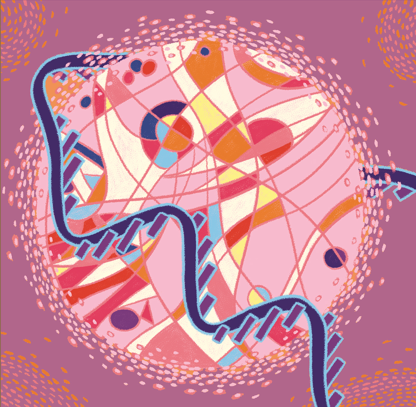 Issue cover image