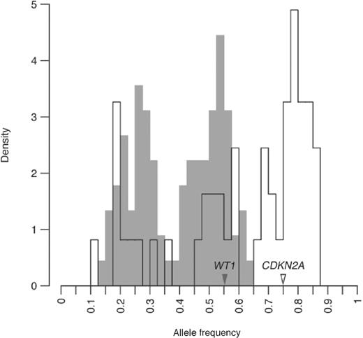 Figure 3. For 2 regional chromosomal aberrations, mutant allele frequencies reveal distinct evolutionary histories. On chromosome 11, 2 peaks in mutation frequency are seen, 1 for heterozygous and 1 for homozygous mutations; these reflect a simple regional gain, including a COSMIC mutation in WT1. In contrast, 3 separate frequencies are detected on chromosome 9, culminating in a triploid state for mutant CDKN2A and loss of all wild-type copies. Three discrete allele frequencies can be achieved only by 2 gains and 1 loss, with the highest frequency (triploid) peak representing the first gain and the diploid peak containing mutations from the interval preceding the second gain. The disproportionate size of the triploid peak (P < 0.03) indicates that the first gain occurred more than halfway through tumor evolution, as measured by the evolutionary clock, and the second gain even later (see Supplementary Methods for more detail).