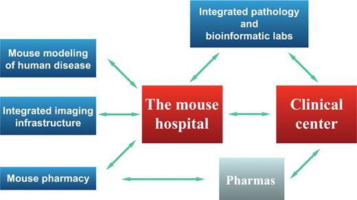 Figure 5. Critical components of a co-clinical center. Fundamental components of the co-clinical effort (in red) and their relationship with the infrastructures and pharmaceutical companies.