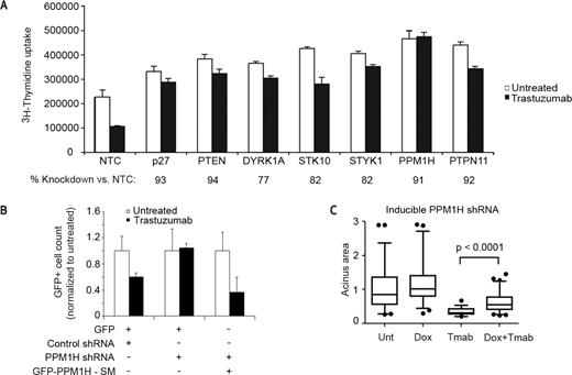 Figure 2. Trastuzumab resistance siRNA screen identifies PPM1H. A, knockdown of the top 7 screen hits in an assay of cell proliferation in BT474M1 cells with and without trastuzumab (mean ± SEM). % knockdown by qRT-PCR is noted for each gene. B, PPM1H or control shRNA was transfected with a GFP vector or a GFP-PPM1H-SM vector harboring silent mutations in the shRNA binding region. GFP-positive cells were quantified (mean ± SEM). C, PPM1H knockdown with and without trastuzumab treatment was tested in 3D culture using a doxycycline-inducible BT474M1-PPM1H shRNA cell line. Data with a negative control shLacZ cell line are shown in Supplemenary Fig. 3A. Colony area is represented by box and whisker plot (whiskers represent 5th and 95th percentiles).