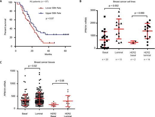 Figure 5. Low PPM1H expression is associated with poor clinical outcome. A, PPM1H was assessed by isotopic in situ hybridization in tumor tissue from 87 patients with metastatic breast cancer who had been treated with trastuzumab until progression, toxicity, death, or patient choice (33). The PPM1H signal was quantified via phosphorimager in areas of high tumor content. Using the median expression as a cutoff, Kaplan-Meier analysis reveals HR of 1.60 for low PPM1H (P = 0.07, 95% CI, 0.96–2.65). B, PPM1H expression was examined in breast cancer cell lines subgrouped into basal and luminal (34) by HER2 status. C, PPM1H expression was examined in 261 breast tumors subgrouped into basal and luminal (34) by HER2 status.