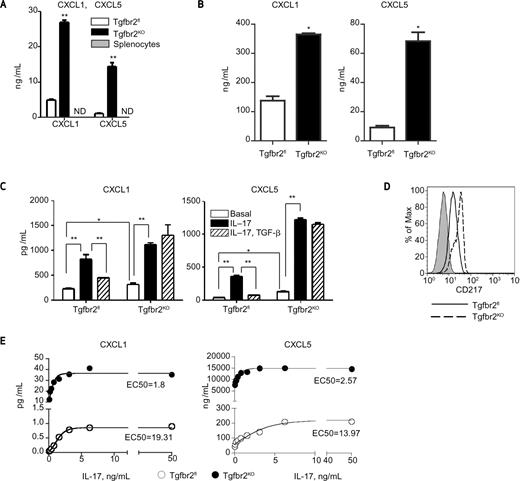 Figure 2. Regulation of CXCL1 and CXCL5 secretion by IL-17 and TGF-β. A, carcinoma cells from established cell lines (1.5 × 105/mL) and splenocytes were incubated for 24 hours in 3 mL of DMEM, 5% FBS. The level of chemokines was measured by ELISA in conditional medium. B, tumor explant was prepared as described in the Methods and analyzed for CXCL1 and CXCL5 by ELISA (R&D Systems). Data correspond to the mean ± SEM of 3 individual mice from 3 experiments. C, sorted carcinoma cells from freshly isolated tumor tissue (1.5 × 105/mL) were incubated for 24 hours in 1 mL of DMEM, 5% FBS. Level of CXCL1/5 was measured by ELISA in conditional medium. IL-17 was used at a concentration of 10 ng/mL and TGF-β at a concentration 1 ng/mL. D, cultured tumor epithelial cells were stained with IL-17Ra/CD217-PE. Cells were analyzed on FACSCalibur. Representative FACS plot is showing from 3 experiments. E, cultured carcinoma cells (2.5 × 104 cells/mL) were incubated with IL-17A concentrations from 0 to 50 ng/mL. Data correspond to the mean from 3 experiments. Conditioned medium was analyzed by ELISA (R&D Systems). EC50 was analyzed by GraphPad Prism software. *P < 0.05, **P < 0.01. PyMT/Tgfbr2fl is Tgfbr2FL, PyMT/Tgfbr2KO is Tgfbr2KO. Data correspond to the mean ± SEM.