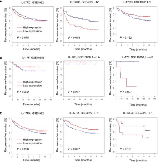 Figure 5. Increased expression of IL17 genes correlated with worse outcome in ER−, LN+, Lum B human breast cancers. A, in patients with human LN+ breast cancer, the expression of IL-17RC correlated with reduced RFS in the GSE4922 data set. No significant differences in RFS were observed in correlation with IL-17RC in LN− patients. B, in patients with human luminal B subtype breast cancer, IL17F correlated with reduced RFS in GSE108869 data set. C, in patients with ER+ breast cancer, IL-17RA has a marginal correlation with increased RFS that is not observed in ER− patients.