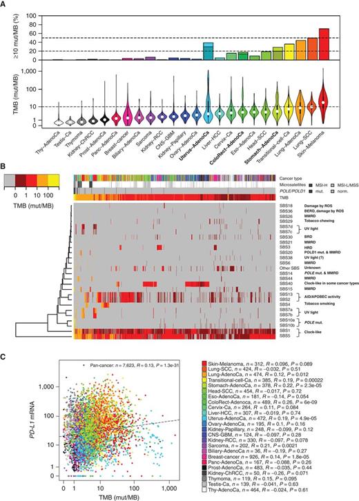 Tumor Mutational Burden as a Predictive Biomarker in Solid Tumors