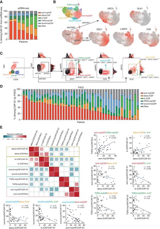 Figure 2. Validation of the five most abundant CAF-S1 clusters in distinct cancer types. A, Percentage (%) of the different clusters among CAF-S1 fibroblasts based on scRNA-seq data, each CAF-S1 cell being attributed as shown in Fig. 1A. B, UMAP plots showing RNA levels of surface markers that are specific to each CAF-S1 cluster, also shown in colors as in Fig. 1A. C, FACS plots from a representative patient with breast cancer showing the gating strategy used for validating the five most abundant CAF-S1 clusters shown in B by combining protein surface markers. Gating strategy is as follows: Among FAPhi CD29med CAF-S1, ANTXR1+ cells (myCAF) were next gated on the basis of SDC1, LAMP5, and CD9; ANTXR1− cells (iCAF) on GPC3 and DLK1. Clusters were defined as follows: cluster 0/ecm-myCAF: ANTXR1+ SDC1+ LAMP5−; cluster 3/TGFβ-myCAF: ANTXR1+ SDC1+/− LAMP5+; cluster 4/wound-myCAF: ANTXR1+ SDC1− LAMP5− CD9+; cluster 1/detox-iCAF: ANTXR1− GPC3+ DLK1+/−; cluster 2/IL-iCAF: ANTXR1− GPC3− DLK1+. CAF-S1 cells negative for all markers are next called “others.” A representative patient is shown (N = 44 patients with breast cancer). D, Percentage (%) of the different clusters among CAF-S1 fibroblasts based on FACS data. Each bar represents one patient (N = 44). E, Left, correlation matrix between the content in the 5 most abundant CAF-S1 clusters among total CAF (DAPI− EPCAM− CD45− CD31− CD235a−) and among CAF-S1 fibroblasts (FAPhi CD29med). Data are from FACS (N = 44). P values from Pearson correlation test. The squares show significant positive (red) and negative (blue) correlations. Square sizes are proportional to P value significance and color intensities to the correlation coefficients, standardized from −1 to +1 for heat-map representation, as indicated. Right and bottom, detailed correlation curves between two variables, as indicated. Each dot represents one tumor (N = 44). P values from Pearson correlation test.