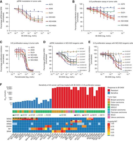 Figure 2. Drug sensitivity profiling of cancer cell lines uncovers an association of KRAS mutation status with sensitivity to SOS1 inhibition. A, Inhibition of pERK activity by BI-3406 after 1 hour in 2-D assay conditions in a cancer cell line panel quantified by Western blotting (n = 2, means ± SD). A375 [KRAS wild-type (WT), BRAFV600E], A549 (KRASG12S), DLD1 (KRASG13D), NCI-H23 (KRASG12C), NCI-H358 (KRASG12C), and NCI-H520 (KRAS WT and BRAF WT). B, Inhibition of cell proliferation by BI-3406 in a cancer cell line panel in 3-D proliferation assays (n = 3, means ± SD). C, In vitro sensitivity of a panel of cell lines to the positive control, panobinostat (Sigma-Aldrich), in a 3-D proliferation assay (n = 3, means ± SD). D, Effect of BI-3406 on pERK levels in a panel of isogenic NCI-H23 cell lines. Values were normalized to total ERK protein (n = 2, means ± SD). E, In vitro sensitivity of a panel of isogenic cell lines treated with BI-3406 in a 3-D proliferation assay (n = 3, means ± SD). F, In vitro sensitivity of 40 cancer cell lines treated with BI-3406 in 3-D proliferation assays. Panels depict the proliferation data (n = 2), the respective cancer type, and the mutation status of selected genes. Cell lines are grouped on the basis of an IC50 cutoff of 100 nmol/L. The mutation status and zygosity are shown by a continuous color-coding scheme; blue boxes reflect wild-type status, and light blue boxes indicate an unknown status. Only recurring hotspot mutations are reported for KRAS, NRAS, HRAS, EGFR, and BRAF (Supplementary Table S5). NCI-H2347 carries a KRASL19F mutation (asterisks). SCLC, small cell lung cancer.