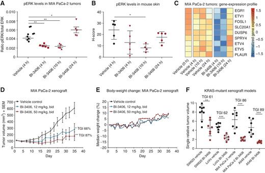 Figure 3. SOS1 inhibition suppresses tumor growth and KRAS/MAPK signaling in xenograft models of KRAS-driven cancers. A, pERK levels analyzed by a multiplexed immunoassay in explanted MIA PaCa-2 tumors treated with 50 mg/kg BI-3406 twice daily at the timepoint 0 and 6 hours (n = 5 animals/group, means ± SEM, two-tailed t test). B, pERK levels in mouse skin (treatment as in A) assessed by IHC staining (H-scores; n = 5 animals/group, means ± SD, two-tailed t test). C, Gene-expression profiling of pharmacodynamics biomarkers in a MIA PaCa-2 in vivo biomarker experiment (n = 4–5 animals/group, medians of normalized gene expression). A subset of nine genes shows time-dependent modulation after BI-3406 (50 mg/kg) treatment, visualized as a color-coded expression heat map. D, Antitumor effect of BI-3406 in the MIA PaCa-2 xenograft model (n = 7 animals/group, means ± SEM, one-tailed t test). bid, twice a day. E, Median body-weight change of mice bearing subcutaneous MIA PaCa-2 xenografts administered as described in D (n = 7 animals/group, medians). F, Responses of different xenograft models after treatment with BI-3406 (50 mg/kg bid) or vehicle (control). Tumor growth inhibition (TGI) was determined on the basis of tumor size after 20–23 days of continuous treatment (n = 7–9 animals/group, means ± SD). Genotypes of tested xenograft models: SW620 colorectal (KRASG12V, BRAF WT), LoVo colorectal (KRASG13D, BRAF WT), MIA PaCa-2 pancreas (KRASG12C, BRAF WT), and A549 NSCLC (KRASG12S, BRAF WT). Significant TGI was achieved in all tested KRAS-mutant xenograft models, with the exception of the KRAS WT model A375 (*, P ≤ 0.05; **, P < 0.01; ***, P < 0.001, one tailed t test).
