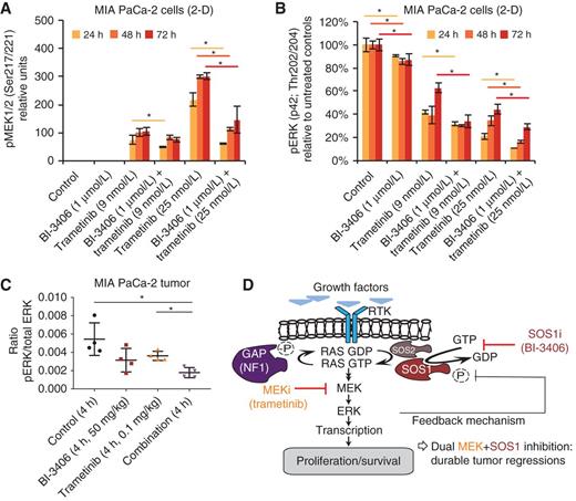 Figure 5. Biomarker modulation upon combined SOS1 and MEK inhibition. A, Western blot analysis of pMEK1/2 in MIA PaCa-2 cells grown in vitro in 2-D and treated with BI-3406, trametinib, or the combination for the indicated time periods (n = 3, means ± SEM). B, Western blot analysis of pERK in MIA PaCa-2 cells grown in vitro in 2-D as in A (one-tailed t test, P = 0.05; two-tailed t test, P = 0.1; A and B). C, Multiplexed immunoassay measurements of pERK and total ERK in MIA PaCa-2 tumor xenografts at 4 hours post-treatment (n = 4 animals/group, means ± SD; two-tailed t test). D, Proposed model of the effects of combined MEK and SOS1 inhibition. Inhibition of MEK results in the attenuation of negative feedback control leading to increased SOS1 activity, KRAS-GTP loading driving reactivation of downstream signals. On the basis of these adaptive responses, effects of MEK inhibitors (MEKi) on cell proliferation and survival are limited. Adaptive responses can be abrogated through combined blockade of MEK and SOS1, which prevents MEK inhibitor–induced KRAS-GTP loading and reduces signaling downstream of KRAS, resulting in durable tumor regressions. SOS1i, SOS1 inhibitor. *, P ≤ 0.05.