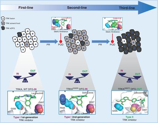 Figure 6. Proposed model of sequential therapy in NTRK fusion–positive tumors. At diagnosis, tumors are mainly composed of WT TRK fusion–positive cells. The pool of kinase molecules in the DFG-in conformation is prevalent, and patients are treated with type I, first-generation TRK inhibitors (first-line therapy: larotrectinib). At progression, the most prevalent mechanism of on-target resistance is the emergence of TRK solvent-front mutations that generate steric hindrance, thus compromising first-generation drug activity. In cells harboring TRK solvent-front mutations, the pool of DFG-in kinase molecules is still predominant, and patients are treated with type I second-generation TRK inhibitors (second-line therapy: selitrectinib). At progression, the emergence of TRKxDFG single and double mutations generates steric hindrance, compromising the binding of type I second-generation TRK inhibitors, and induces the kinase to preferentially adopt its inactive DFG-out conformation, sensitizing to type II kinase inhibitors (proposed third-line therapy). Note that only on-target mechanisms of resistance are displayed in this model.