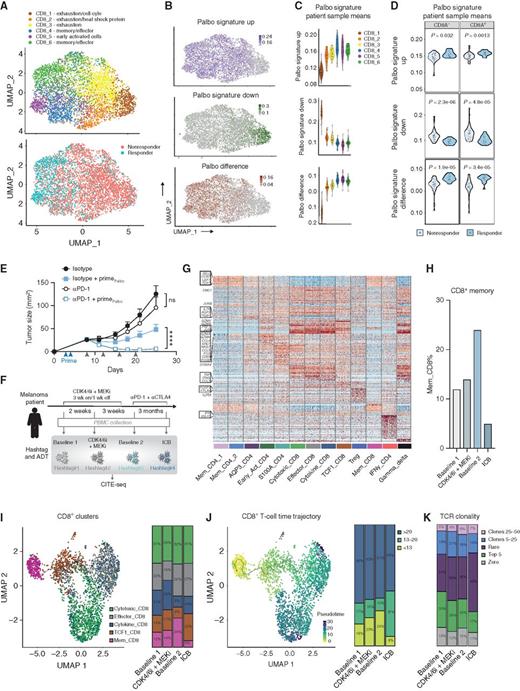 Figure 6. CDK4/6 inhibition induces an ICB-responsive T-cell phenotype. A–D, CD8+ TILs from melanoma patients evaluated by single-cell RNA-seq using available datasets (9). A, CD8+ TIL clusters based on gene expression. B–D, T cell–intrinsic palbociclib (palbo) response gene signatures were derived from our ex vivo RNA-seq analysis of CD8+ TILs from palbociclib-treated MC38-OVA tumors (Supplementary Fig. S2A–S2C). B, AUCell was used to apply palbociclib response signatures to patients samples in A. C, Palbociclib response signature scores for each cluster in A. D, Palbociclib response signature scores averaged across all TILs for each patient, segregated on patients that responded or did not respond to ICB. E, MC38 tumor–bearing mice were treated with palbociclib for 2 days, a week before starting anti–PD-1 therapy. Data show growth of tumors, with palbociclib priming indicated with blue arrows and anti–PD-1 treatment indicated with gray arrows (two-way ANOVA multiple comparisons test; n = 9–10). Error bars show +/- SEM, ****, P < 0.0001; ns, not significant. F, Schematic showing time course of patient samples collected for CITE-seq. PBMCs were collected from the blood of a melanoma patient over the course of treatment, followed by isolation of the T cells by FACS. Each sample was labeled with a unique oligonucleotide barcode (hashtag) and oligo-tagged antibodies to surface proteins of interest (ADTs). Samples were then pooled for single-cell droplet encapsulation and CITE-seq. G, Gene expression and annotation of T-cell clusters. H, Percentage of CD8+ T cells with a memory phenotype. I and J, CD8+ T-cell clusters and cluster frequencies, showing phenotype (I) and differentiation trajectory across pseudotime using Moncole analysis (J). J, Right plot shows distribution of CD8+ clusters over pseudotime. K, TCR clonal frequencies.