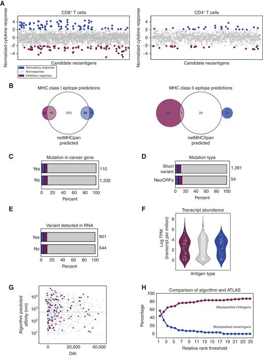 Figure 1. CD4+ and CD8+ T-cell responses in ATLAS and the neoantigen characteristics. A, Normalized cytokine responses for IFNγ and TNFα across 9 lung cancer subjects and 1,015 unique mutations profiled. Each point represents the average (of two) observed cytokine response for a given analyte for each mutation profiled in ATLAS normalized to the negative control responses. Horizontal line indicates the statistical cutoff for determination of stimulatory (blue) or inhibitory (burgundy) T-cell responses. B, Venn diagrams comparing ATLAS-identified T-cell responses with NetMHCpan 4.0 (934 putative neoantigens) or NetMHCIIpan 4.0 (525 putative neoantigens) predictions using a 2% cutoff. Blue circles represent neoantigens, and burgundy circles represent Inhibigens. C and D, Relative proportion of neoantigens (blue), Inhibigens (maroon), and nonantigenic (gray) mutations classified by if the mutation is in a known cancer gene (C) or a short variant or a neoORF (D). E, Classification of responses by if the mutation was expressed as determined by RNA-seq analysis. F, Classification of responses by copy number. y-axis represents log transcripts per million, and x-axis indicates response determination by ATLAS. G, Minimum predicted affinity (nmol/L) plotted against the maximum calculated DAI for each SNV. H, The concordance between ATLAS and NetMHCpan/NetMHCIIpan algorithms for different algorithm thresholds. The red line shows the false positive rate defined as percentage of Inhibigens classified as antigens by the algorithm. The blue line shows the false negative rate defined as the percentage of neoantigens missed by the algorithm.