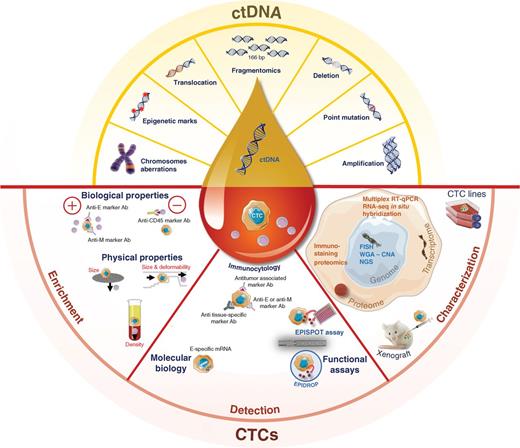 Liquid Biopsy: From Discovery to Clinical Application | Cancer ...