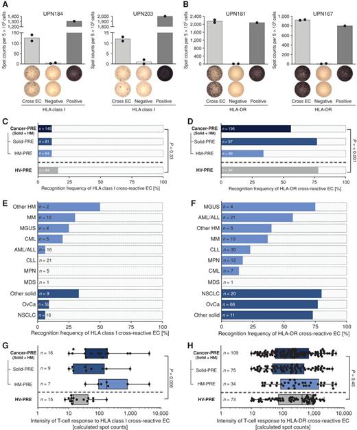 Figure 1. Cross-reactive SARS-CoV-2 T-cell responses in unexposed patients with cancer (cancer-PRE). A and B, Exemplary IFNγ ELISPOT assays of peripheral blood mononuclear cells from prepandemic patients with cancer after 12-day in vitro expansion with cross-reactive (A) HLA class I and (B) HLA-DR ECs. T-cell responses were considered positive when the mean spot count was ≥3-fold higher than the respective negative control. Data are presented as scatter dot plot with mean. C–F, Recognition frequencies of cross-reactive (C, E) HLA class I and (D, F) HLA-DR ECs in unexposed patients with solid (solid-PRE) and hematologic malignancies (HM-PRE) compared with healthy volunteers (HV-PRE; two-sided Fisher exact test). Solid-PRE and HM-PRE represent subgroup analyses of the cancer-PRE cohort. Recognition frequencies are shown as absolute frequency revealing the proportion of patients with detected SARS-CoV-2 T-cell responses within the complete indicated cohorts. G and H, Intensities (calculated spot counts) of T-cell responses to cross-reactive (G) HLA class I and (H) HLA-DR EC in unexposed cancer-PRE patients and HV-PRE. Solid-PRE and HM-PRE represent subgroup analyses of the cancer-PRE cohort. Data are shown for donors with detectable T-cell responses; boxes represent median and 25th to 75th percentiles; whiskers are minimum to maximum, two-sided Mann–Whitney U test. ALL, acute lymphoblastic leukemia; cross EC, cross-reactive epitope composition; MGUS, monoclonal gammopathy of undetermined significance; MM, multiple myeloma; MPN, myeloproliferative neoplasm; NSCLC, non–small cell lung cancer; OvCa, ovarian carcinoma; UPN, uniform patient number.