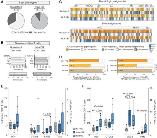 Figure 2. Characterization of SARS-CoV-2 T-cell phenotypes and general T-cell functionality in unexposed patients with cancer-PRE. A and B, Flow cytometry–based characterization of (A) phenotypes and (B) cytokine profiles of cross-reactive T-cell responses to HLA class I (left) and HLA-DR EC (right) using T cells from unexposed patients with cancer after 12-day in vitro expansion. B, Cytokine profiles (IFNγ, TNF, IL2) and degranulation marker (CD107a) expression of CD8+ (left) and CD4+ T (right) cells. Percentages of samples with CD107a+, IL2+, TNF+, and IFNγ+ T-cell responses are shown in the top rows. Data are shown as absolute frequency revealing the proportion of samples within the total cohort with a detected cytokine production and degranulation in response to SARS-CoV-2 T-cell epitopes. The bottom rows display the proportion of samples revealing monofunctional (1), difunctional (2), trifunctional (3), or tetrafunctional (4) T-cell responses. C, Heat maps of recognition frequency and intensity (color gradient green) of T-cell responses to cross-reactive SARS-CoV-2 HLA class I and HLA-DR ECs in comparison to the recognition frequency of HLA class I and HLA-DR viral peptide panels (orange) comprising, for example, EBV, CMV, ADV, and INF peptides in unexposed patients with cancer (total n = 199; top, hematologic malignancies n = 101; bottom, solid malignancies n = 98). D, Recognition frequencies of HLA class I (left) and HLA-DR (right) ADV/CMV/EBV/INF peptides in unexposed patients with solid (solid-PRE) and hematologic malignancies (HM-PRE) compared with healthy volunteers (HV-PRE; Fisher exact test). Recognition frequencies are shown as absolute frequency revealing the proportion of patients with detected T-cell responses to ADV/CMV/EBV/INF viral peptide panels within the complete indicated cohorts. E and F, Flow cytometry–based analysis of T-cell exhaustion marker expression (PD-1, CTLA4, LAG3, TIM3) in (D) CD8+ and (E) CD4+ T cells of unexposed patients with SARS-CoV-2 and cancer (solid-PRE, n = 10; HM-PRE, n = 11) and healthy volunteers (HV-PRE, n = 9). HV-PRE, solid-PRE, and HM-PRE are depicted in gray, dark blue, and light blue, respectively. Boxes represent median and 25th to 75th percentiles; whiskers are minimum to maximum, Kruskal–Wallis test, P adjusted with Dunn multiple comparisons test.