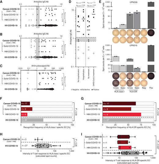 Figure 3. Antibody and T-cell responses to SARS-CoV-2 in patients with COVID-19 and cancer (cancer–COVID-19). A–D, SARS-CoV-2–directed antibody responses in cancer–COVID-19 and healthy volunteers (HV–COVID-19) after SARS-CoV-2 infection. SARS-CoV-2 serum antispike (A) IgG and (B) IgA S1 ratios (EUROIMMUN) as well as (C) antinucleocapsid antibody titers (Roche Elecsys). Solid–COVID-19 and HM–COVID-19 represent subgroup analyses of the cancer–COVID-19 cohort. D, Antispike IgG ratios (EUROIMMUN) of cancer–COVID-19 grouped by severity of COVID-19 (requiring hospitalization or SARS-CoV-2–specific treatment; Fisher exact test for positivity rate, Mann–Whitney U test for antibody ratios/titers of positive patients). Donors with negative and borderline responses are marked in white and gray, respectively. E, Exemplary ex vivo IFNγ ELISPOT assays using T cells from two cancer–COVID-19 patients stimulated with cross-reactive or SARS-CoV-2–specific HLA class I and HLA-DR epitope compositions. T-cell responses were considered positive when the mean spot count was ≥3-fold higher than the negative control. F and G, Recognition frequencies of SARS-CoV-2–specific (F) HLA class I and (G) HLA-DR EC in cancer–COVID-19 patients and healthy volunteers (HV–COVID-19; Fisher exact test). Recognition frequencies are shown as absolute frequency revealing the proportion of patients with detected SARS-CoV-2 T-cell responses within the complete indicated cohorts. H and I, Intensities (calculated spot counts) of T-cell responses to SARS-CoV-2–specific (H) HLA class I and (I) HLA-DR EC in cancer–COVID-19 and HV–COVID-19. Data shown for donors with T-cell responses; boxes represent median and 25th to 75th percentiles; whiskers are minimum to maximum, two-sided Mann–Whitney U test. Solid–COVID-19 and HM–COVID-19 represent subgroup analyses of the cancer–COVID-19 cohort. cross, cross-reactive EC; pos, positive control; pos. rate, positivity rate; spec, SARS-CoV-2–specific EC; neg, negative control; UPN, uniform patient number.
