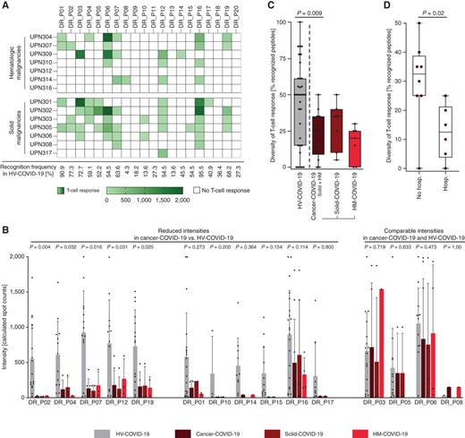 Figure 4. Diversity and intensity of SARS-CoV-2 T-cell responses to single HLA-DR epitopes in cancer–COVID-19 patients. A, Heat map of recognition frequencies and intensities (calculated spot count, color gradient green) of SARS-CoV-2 T cells to single SARS-CoV-2–derived HLA-DR T-cell epitopes in IFNγ ELISPOT assays after 12-day in vitro expansion using peripheral blood mononuclear cells from cancer–COVID-19 patients (n = 14) with hematologic (top panel, HM–COVID-19, n = 7) and solid tumors (bottom panel, solid–COVID-19, n = 7). Recognition frequencies of the respective HLA-DR T-cell epitopes in COVID-19 convalescent healthy volunteers (HV–COVID-19, n = 34) in IFNγ ELISPOT assays after 12-day in vitro expansion are listed below. B, Intensities of T-cell responses against individual HLA-DR SARS-CoV-2 T-cell epitopes in cancer–COVID-19 (n = 14) and HV–COVID-19 (n = 34) after SARS-CoV-2 infection. Data shown for donors with T-cell responses; mean with SD (error bars); indicated P values represent comparison of HV–COVID-19 and cancer–COVID-19. C, Diversity of SARS-CoV-2 HLA-DR T-cell responses (recognized peptides/tested peptides) in patients with cancer (cancer–COVID-19, n = 14; HM–COVID-19, n = 7; solid–COVID-19, n = 7) and HV–COVID-19 (n = 34) after SARS-CoV-2 infection as assessed in IFNγ ELISPOT assays after 12-day in vitro expansion; boxes represent median and 25th to 75th percentiles; whiskers are minimum to maximum, two-sided Mann–Whitney U test. D, Diversity of SARS-CoV-2 HLA-DR T-cell responses (recognized peptides/tested peptides) in hospitalized (n = 8) versus nonhospitalized patients with cancer (n = 8); boxes represent median and 25th to 75th percentiles; whiskers are minimum to maximum, two-sided Mann–Whitney U test. Solid–COVID-19 and HM–COVID-19 represent subgroup analyses of the cancer–COVID-19 cohort. hosp., hospitalization; no hosp., no hospitalization; UPN, uniform patient number.
