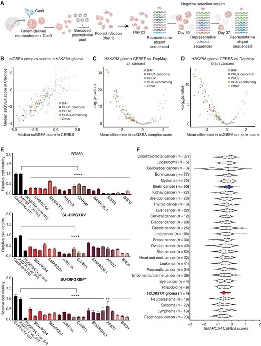 BAF Complex Maintains Glioma Stem Cells in Pediatric H3K27M Glioma ...